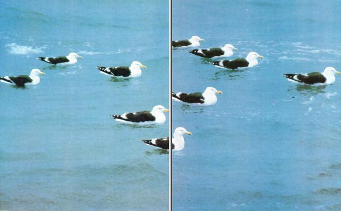 Жизнь на краю земли i_092.jpg