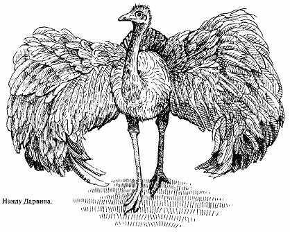 Жизнь на краю земли i_157.png