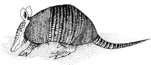Жизнь на краю земли i_158.png