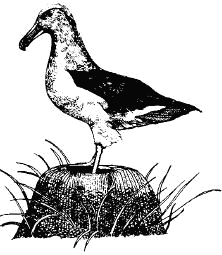 Жизнь на краю земли i_162.png