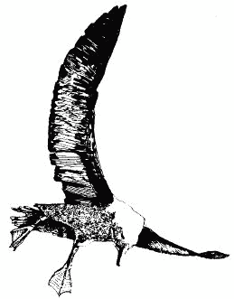 Жизнь на краю земли i_163.png