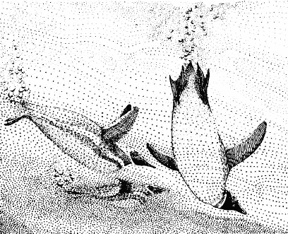 Жизнь на краю земли i_165.png