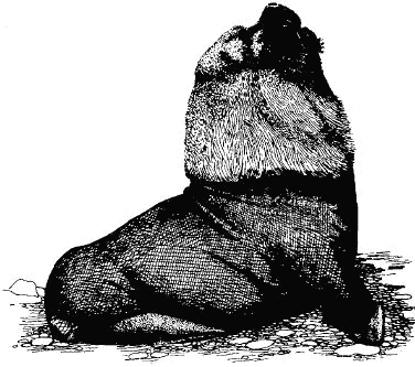 Жизнь на краю земли i_166.png