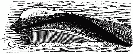 Жизнь на краю земли i_169.png