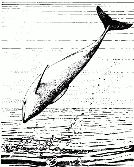 Жизнь на краю земли i_170.png