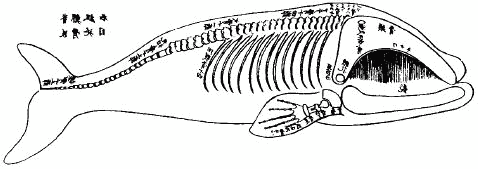 Жизнь на краю земли i_175.png