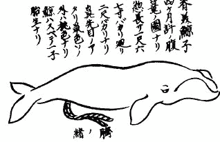 Жизнь на краю земли i_176.png