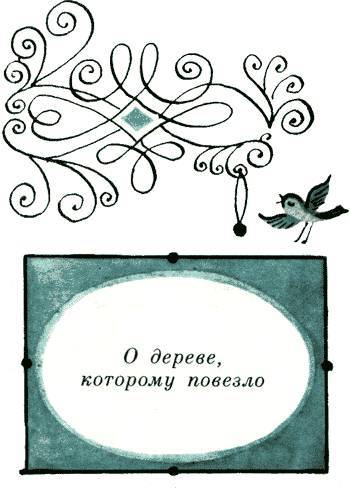 Чинуша на груше _73.jpg