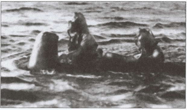 Морские дьяволы i_025.jpg