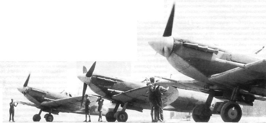 Unknown _53.jpg