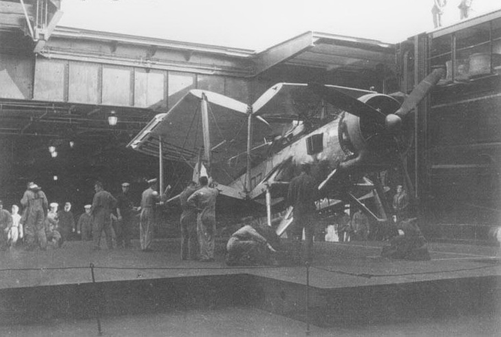 Unknown _84.jpg