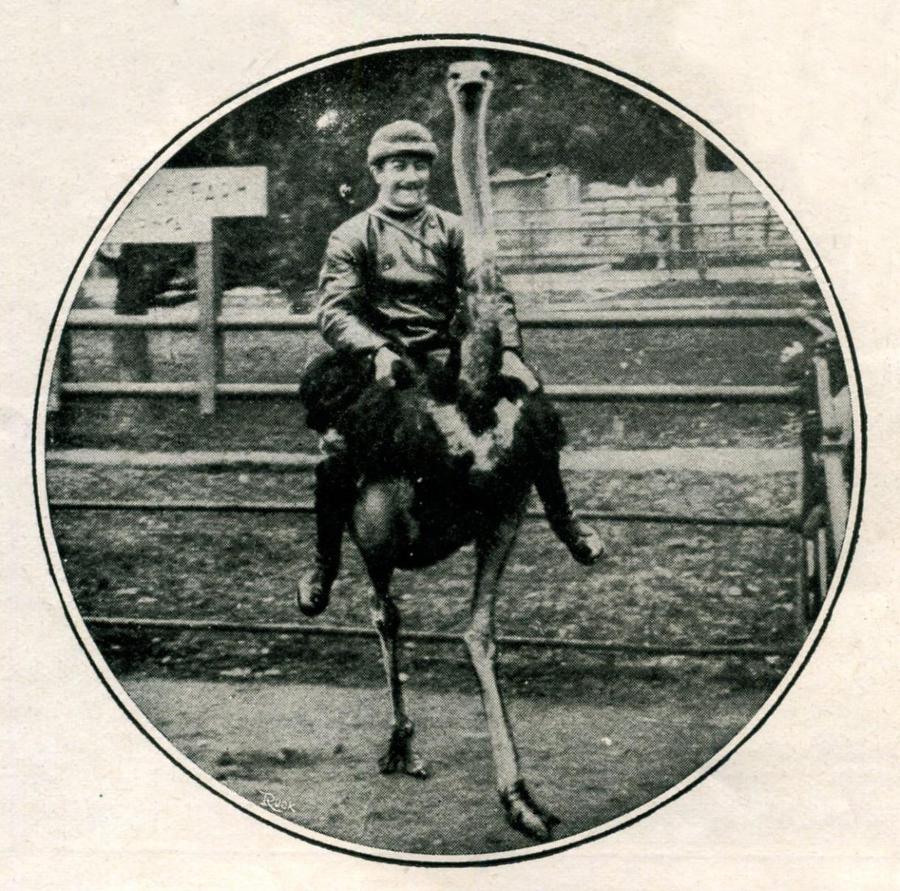 Легенды авиаторов. Исторические рассказы _84.jpg