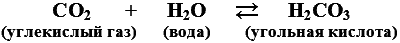 Кровь: река жизни. От древних легенд до научных открытий i_003.png