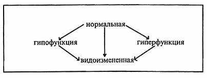 Основы интенсивной реабилитации. Травма позвоночника и спинного мозга i_001.jpg