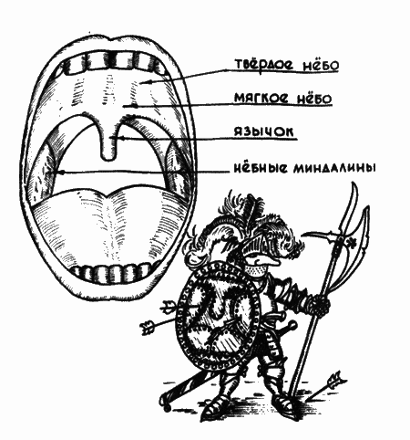 В мире запахов и звуков i_055.png