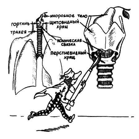 В мире запахов и звуков i_061.png