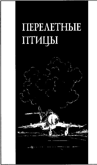 Перелетные птицы _005.png