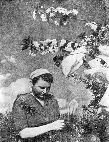 Мичурин i_31.jpg
