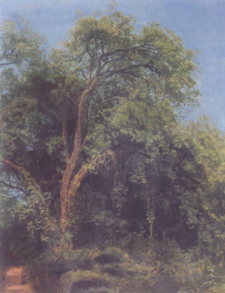 Александр Иванов i_056.jpg