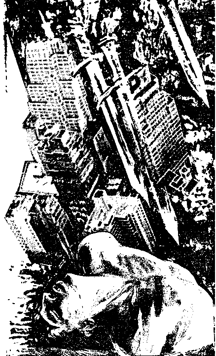 Зарубежный криминальный роман i_002.png