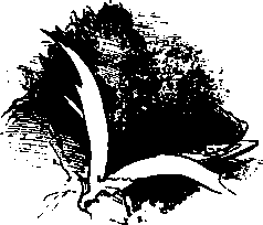 Большой кулинарный словарь i_004.png