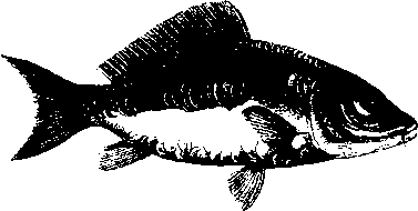 Большой кулинарный словарь i_214.png