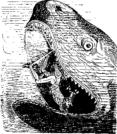 Большой кулинарный словарь i_224.png