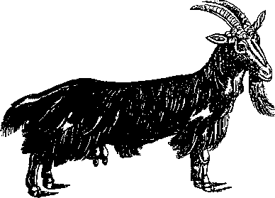 Большой кулинарный словарь i_267.png