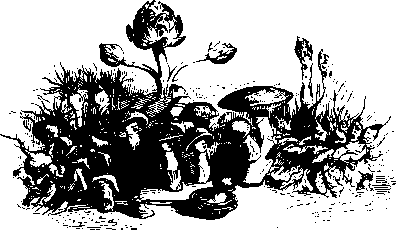 Большой кулинарный словарь i_347.png