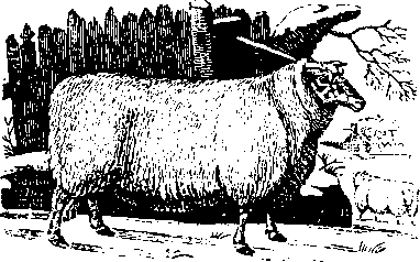 Большой кулинарный словарь i_352.png
