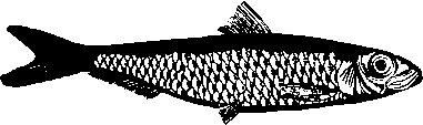 Большой кулинарный словарь i_373.png