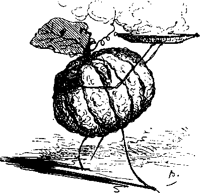 Большой кулинарный словарь i_414.png