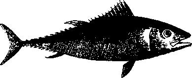 Большой кулинарный словарь i_438.png