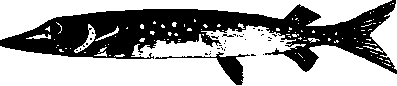 Большой кулинарный словарь i_484.png