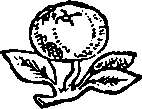 Большой кулинарный словарь i_490.png