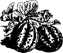 Большой кулинарный словарь i_174.png