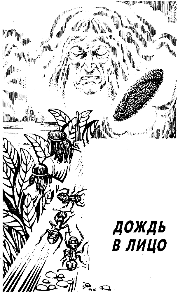 Обсидиановый нож (сборник) img_17.png