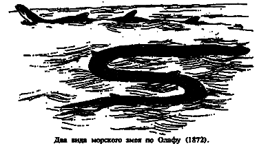 Чудовища морских глубин i_055.png