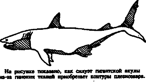 Чудовища морских глубин i_057.png