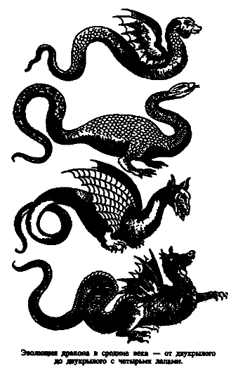 Чудовища морских глубин i_060.png