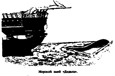 Чудовища морских глубин i_069.png