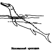 Чудовища морских глубин i_070.png