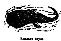 Чудовища морских глубин i_002.png