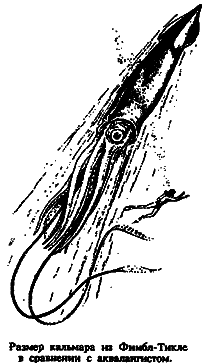 Чудовища морских глубин i_023.png