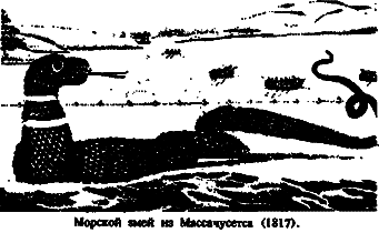Чудовища морских глубин i_026.png