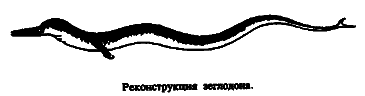 Чудовища морских глубин i_027.png