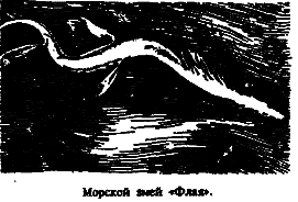 Чудовища морских глубин i_032.png