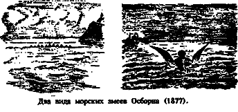 Чудовища морских глубин i_033.png