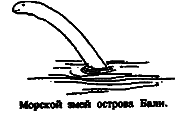 Чудовища морских глубин i_040.png