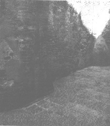Венеция - это рыба i_038.jpg